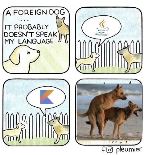 Foreign Dog Programming Languages