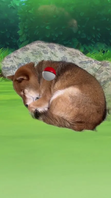 Sleeping Puppy Becomes Charizard
