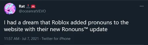 Roblox Adds Pronouns