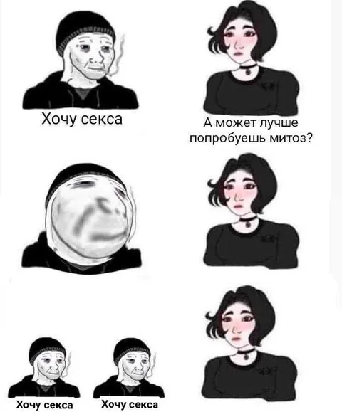 Хочу секса, а может митоз?