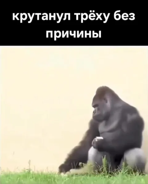 Крутанул трёху без причины