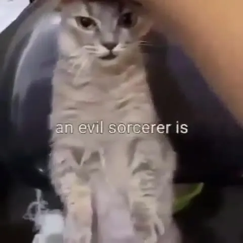 Terrifying Sorcerer Cat Video