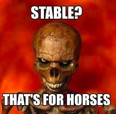Stable? That's for Horses