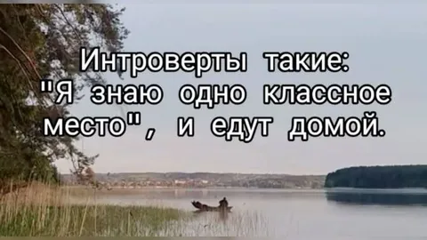 Интроверты едут домой