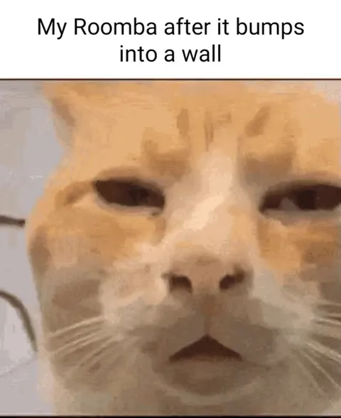 Roomba Bumps Into a Wall