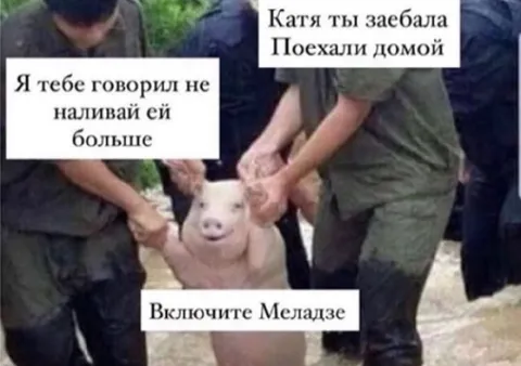 Включите Меладзе и домой
