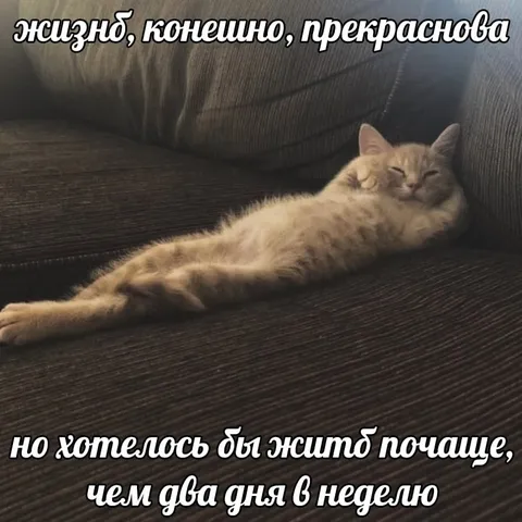 Жить почаще, чем два дня