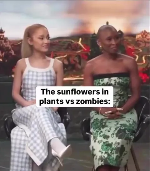 Plants vs. Zombies Sunflowers Interview