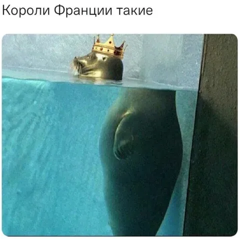 Короли Франции такие
