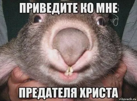 Приведите ко мне предателя Христа
