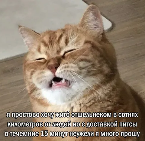 Отшельник с доставкой пиццы