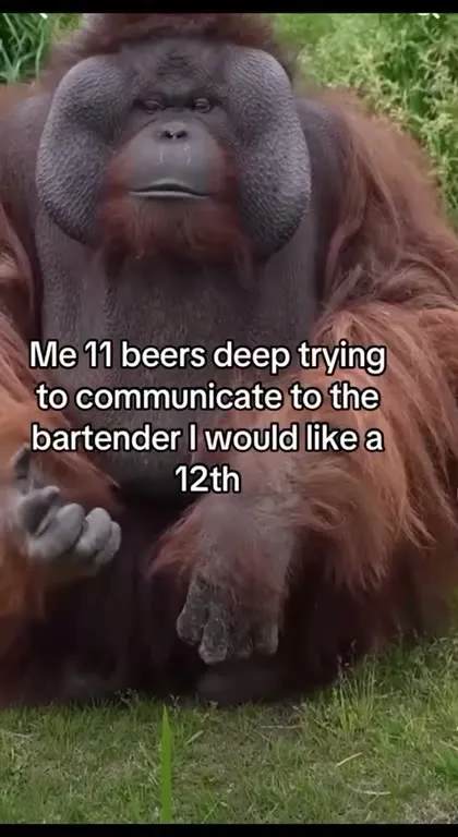 Eleven Beers and One More