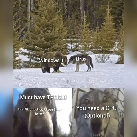 Windows 11 vs Linux Requirements