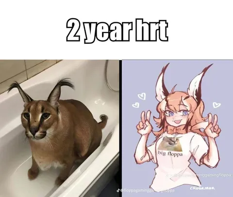 Two Years of HRT Big Floppa