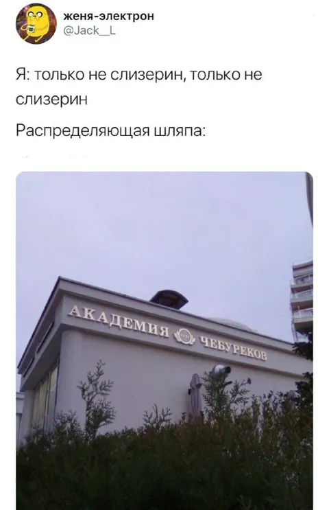 Распределяющая шляпа выбирает чебуреков