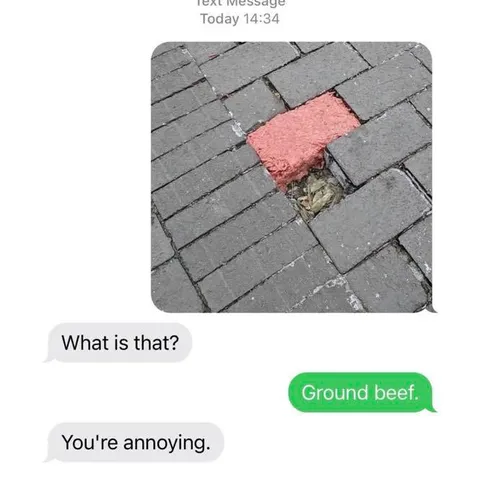 Ground Beef Paving Stone