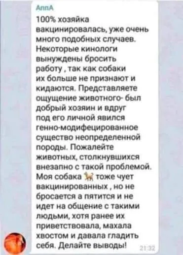 Собака не узнаёт хозяина после прививки
