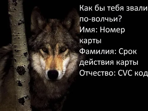 Волчье имя банковской карты