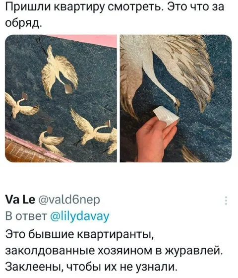 Бывшие квартиранты в журавлях