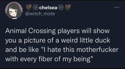 Animal Crossing Players Hate Weird Duck