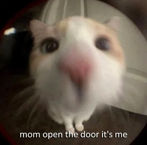 Mom Open the Door