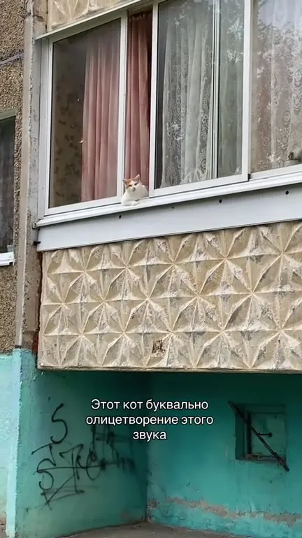Кот олицетворяет этот звук