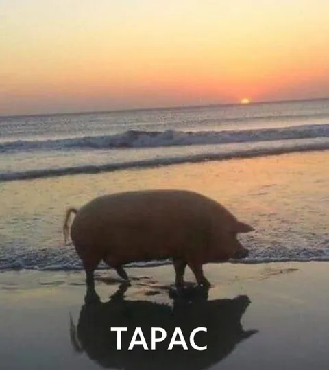 Тарас на закате