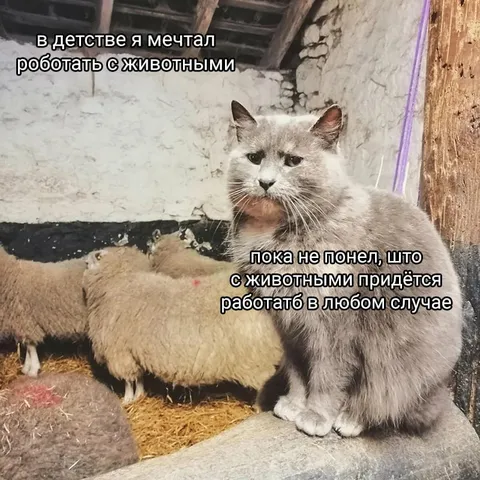 Работать с животными в любом случае