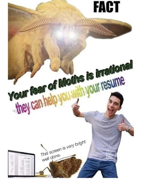 Moths Help With Résumés