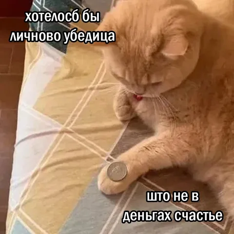 Кот просит счастье не в деньгах
