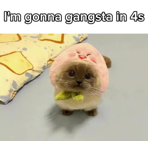 I'm Gonna Gangsta Countdown