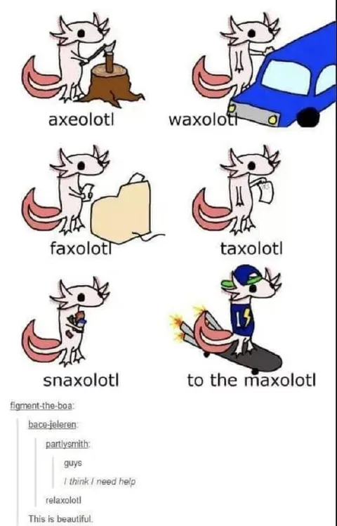 Axolotl Pun Progression Meme