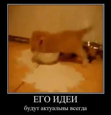 Его идеи будут актуальны всегда