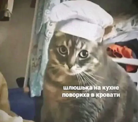 Шлюшка на кухне, повриха в кровати
