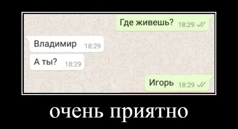 Очень приятно, Владимир Игорь