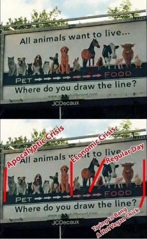 Where Do You Draw the Line?
