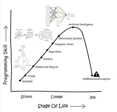 Programming Skills at Work