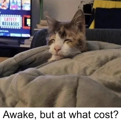 Awake, but at What Cost?