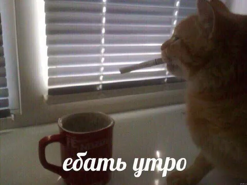Ебать, утро