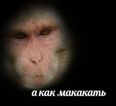А как макакам
