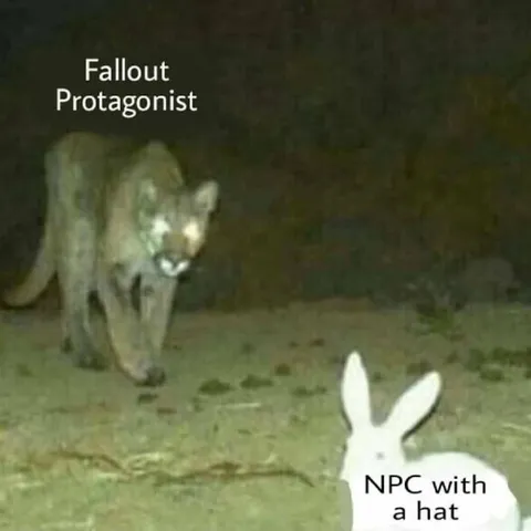 Fallout Protagonist Sees NPC
