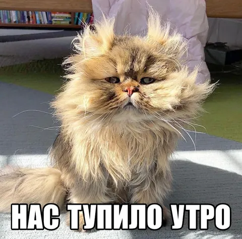 Нас тупило утро