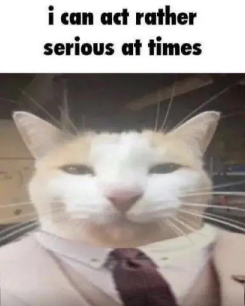 Cat Acts Serious