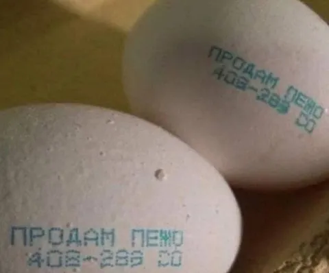 Продам печью на яйцах