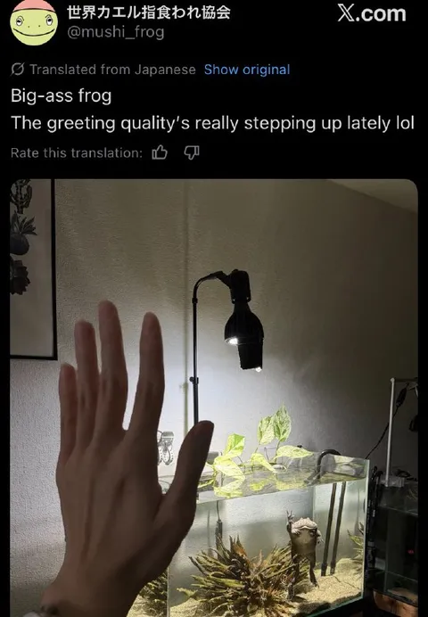 Big-Ass Frog Greeting
