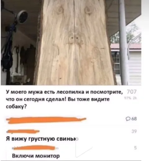 Собака в деревянной доске