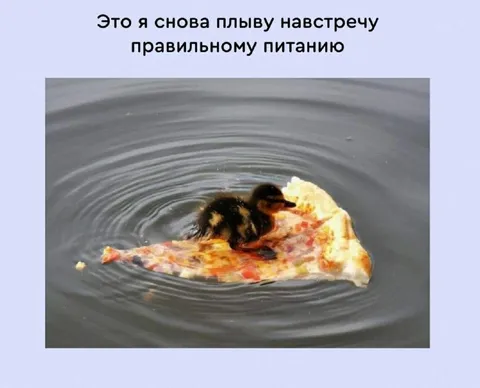 Утёнок плывёт к правильному питанию