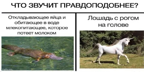Что звучит правдоподобнее?