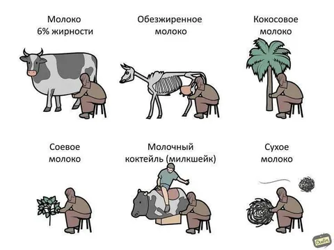 Виды молока в картинках