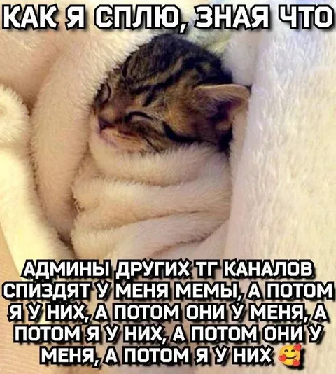 Как я сплю, зная что мемы украдут